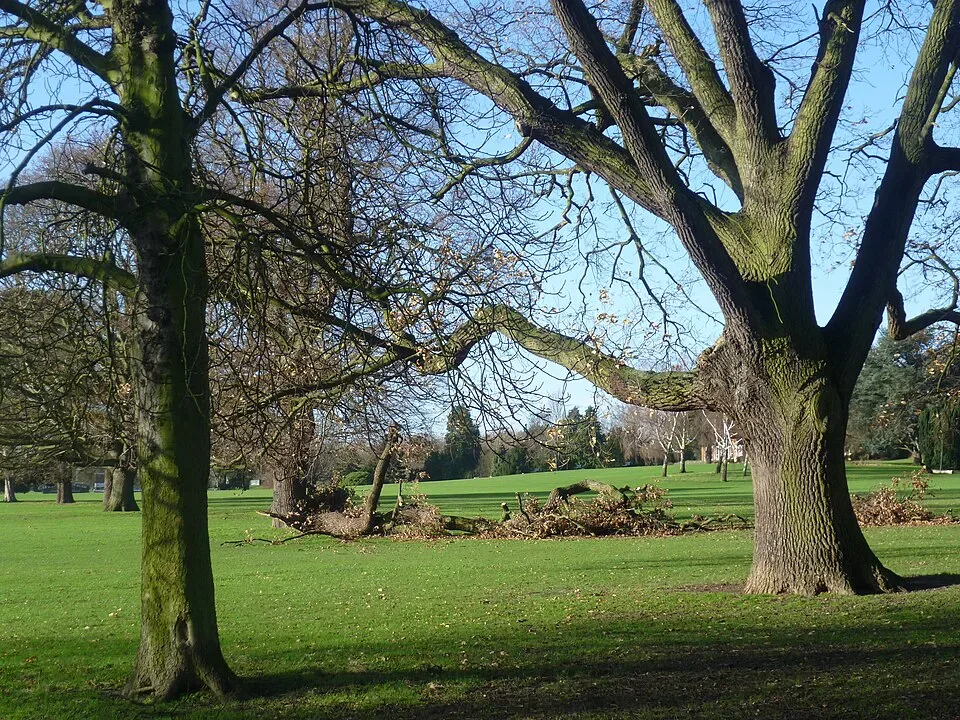 Coach Hire in Avery Hill