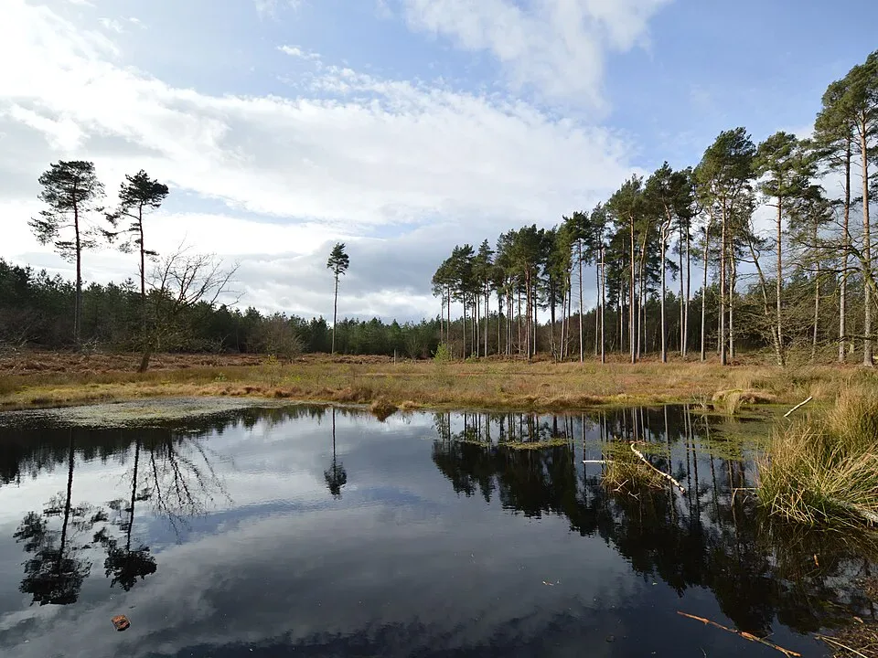 Minibus Hire in Black Lake