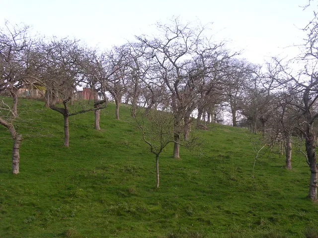 Coach Hire in Cherry Orchard