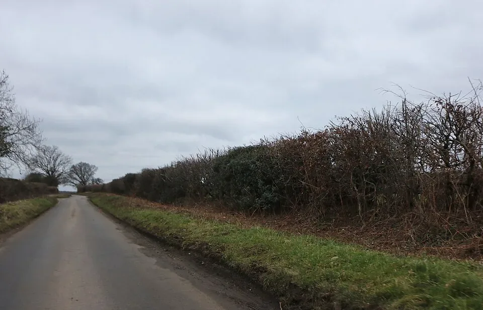 Coach Hire in Cockernhoe