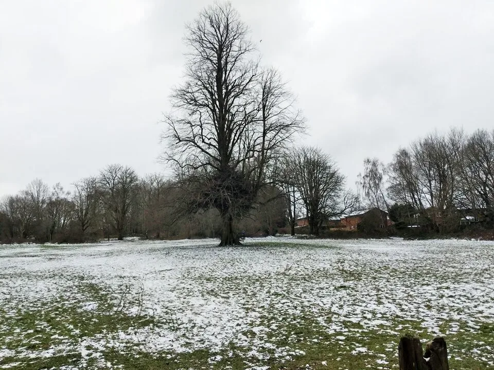 Coach Hire in Crabbet Park