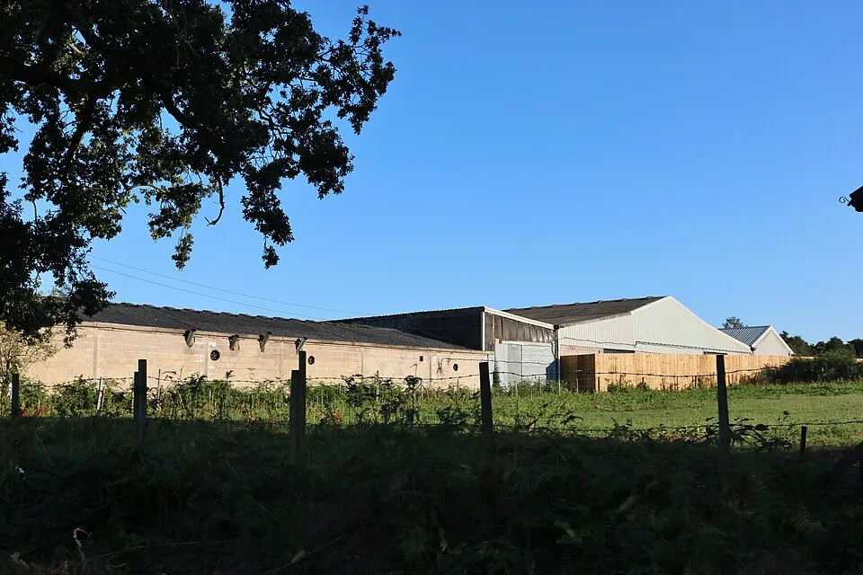 Minibus Hire in Farley Hill