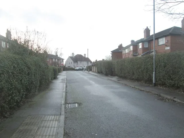 Minibus Hire in Hollin Park
