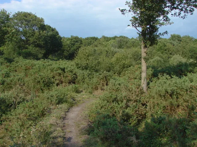 Minibus Hire in Horsell