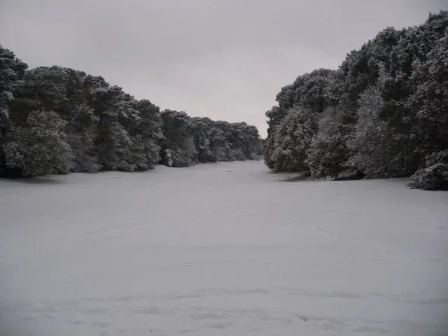 Coach Hire in Meyrick Park