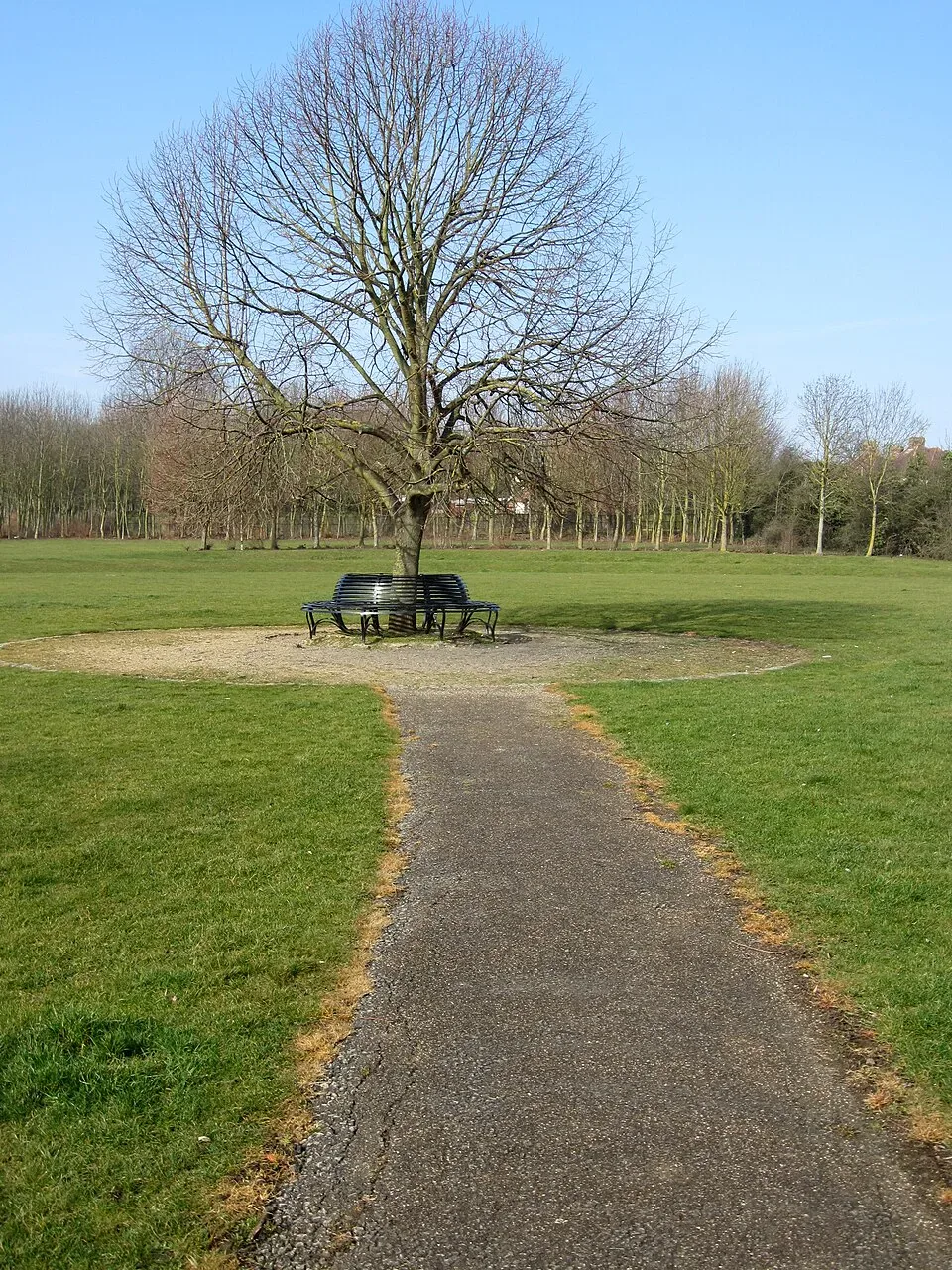 Minibus Hire in Shenley Brook End