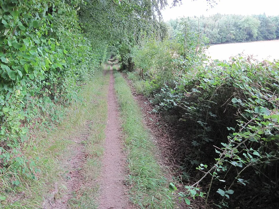 Minibus Hire in Weston Common